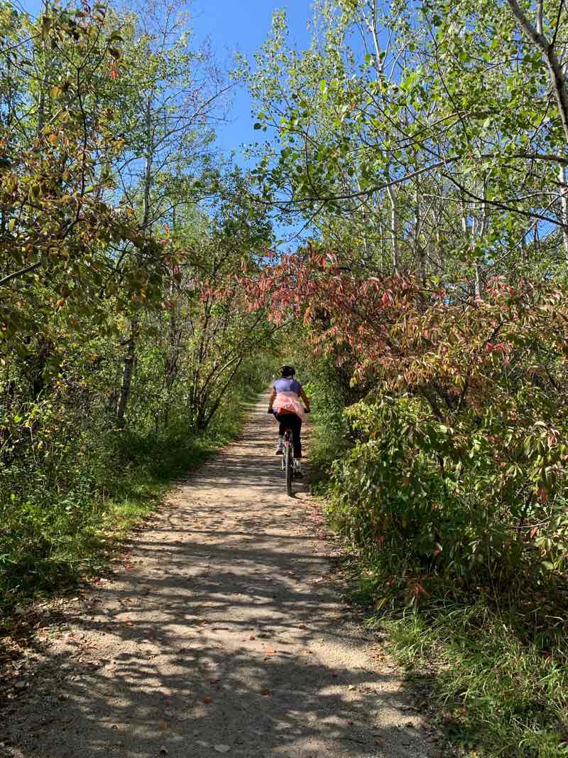 Charleswood forest trail